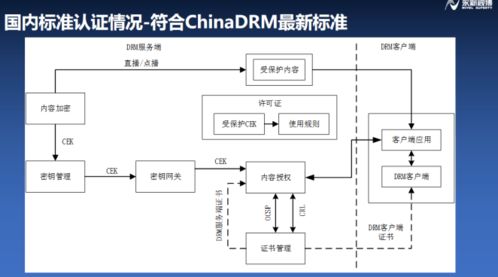 浦江論道 永新視博李自東談符合融媒體安全的版權保護系統，構建IPTV行業健康生態